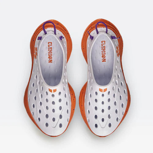 Revive - Clemson